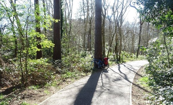 Greenway Mar20.jpg
